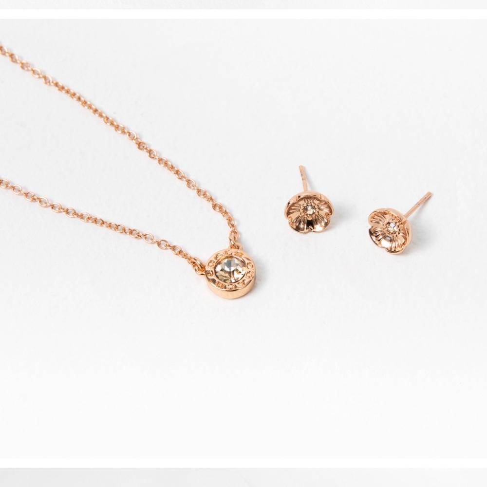 Coach Rose Gold Earring and Necklace Set - Picture 2 of 6